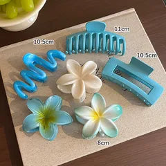 Set De Pince à Cheveux